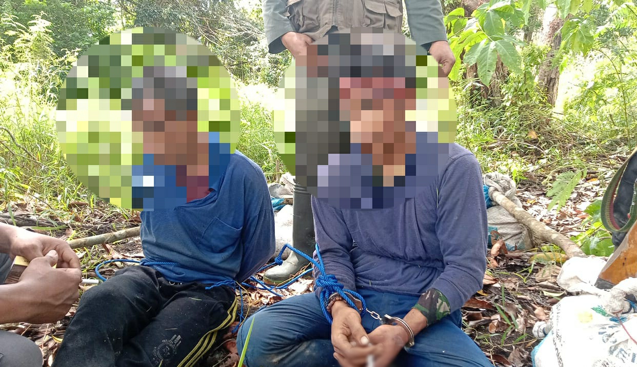 Berburu Rusa di TNWK, Dua Pemburu Liar Asal Lamteng Ditangkap