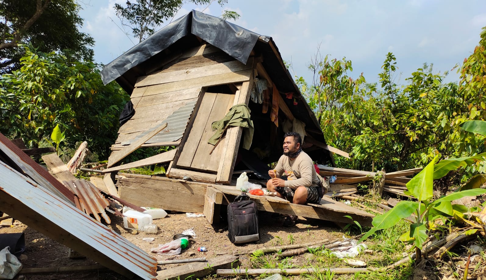 Konflik Gajah Sebabkan Ratusan Hektare Lahan Rusak, Kerugian Capai Rp500 Juta