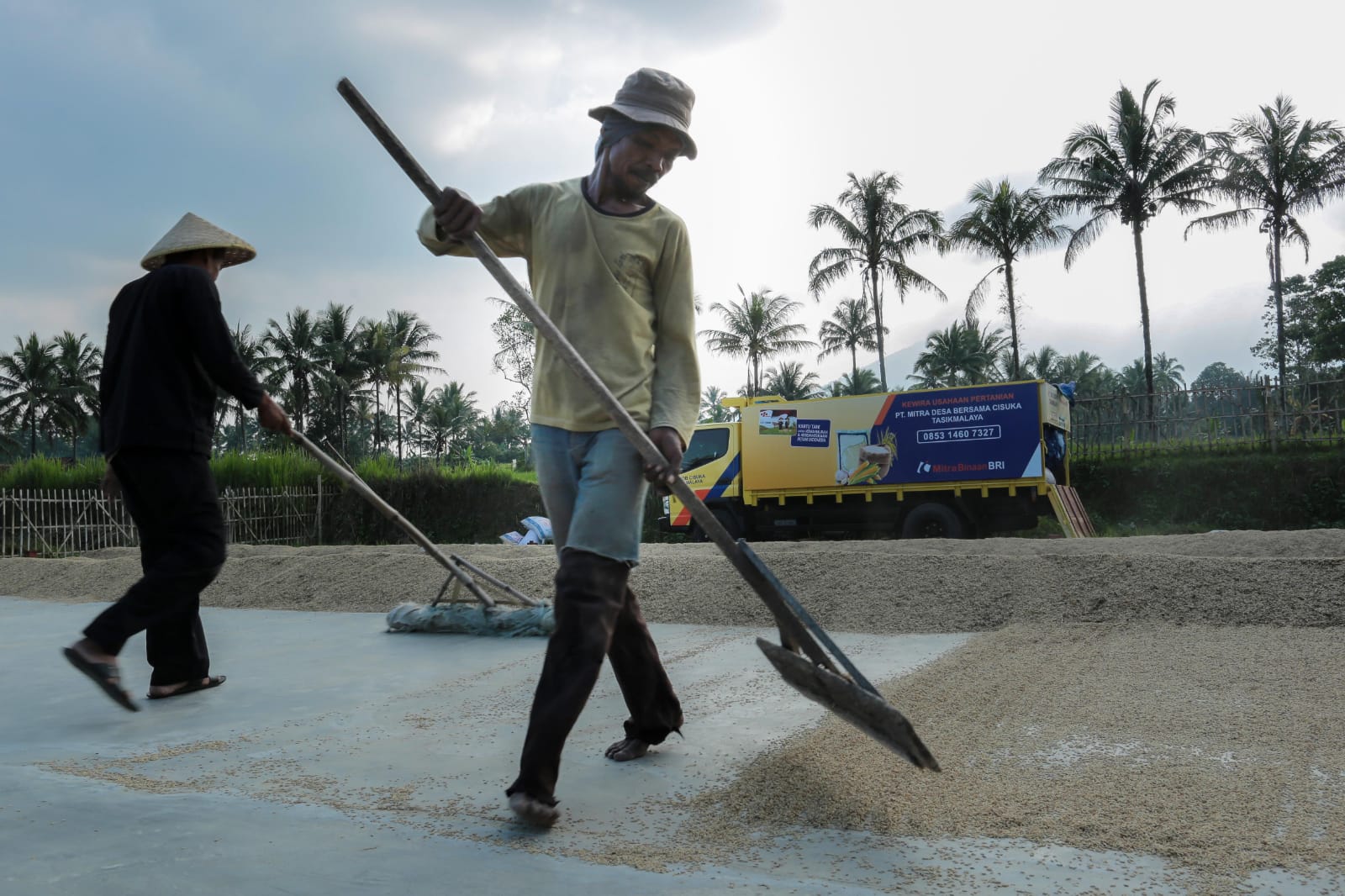 Kredit Pertanian BRI Tembus Rp117,54 Triliun, PembiayaanRice Mill Jangkau Lebih dari 40 Ribu Nasabah