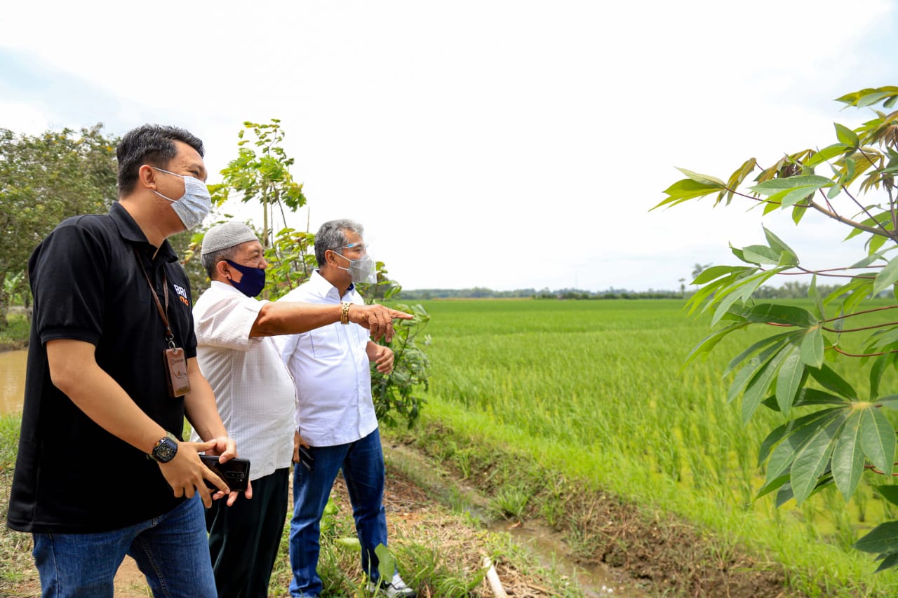 Dirut BRI Ajak Pelaku UMKM Jadi Lokomotif Kebangkitan Ekonomi Indonesia