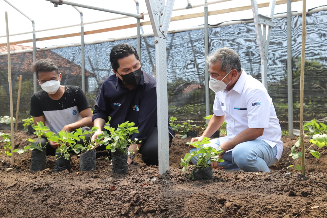 Menteri BUMN dan Dirut BRI Dorong Percepatan Vaksinasi Hingga Pemberdayaan UMKM