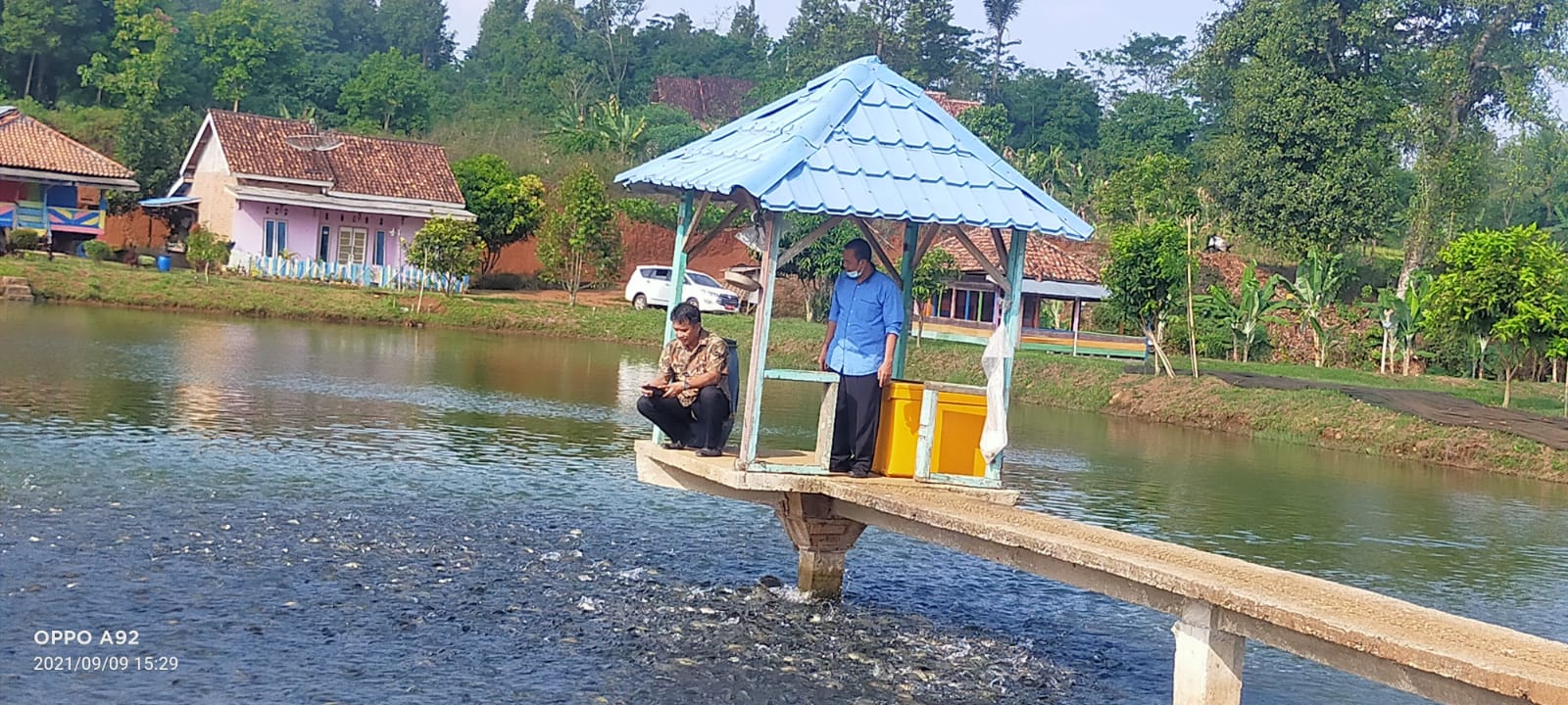 Budidaya Ikan Air Tawar di Lampura Perlu Perhatian Pemerintah