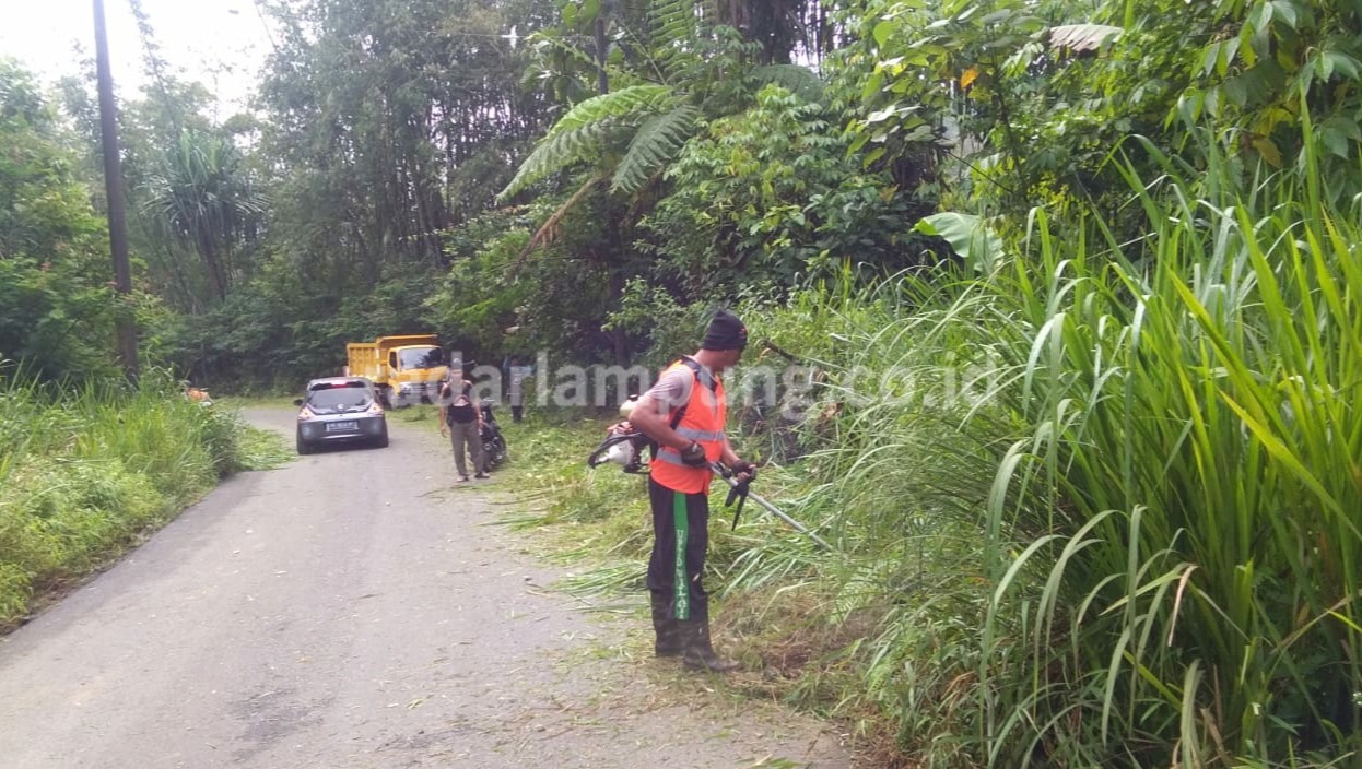 Peningkatan Status Jalur Liwa-Sumsel Terkendala Lebar Jalan