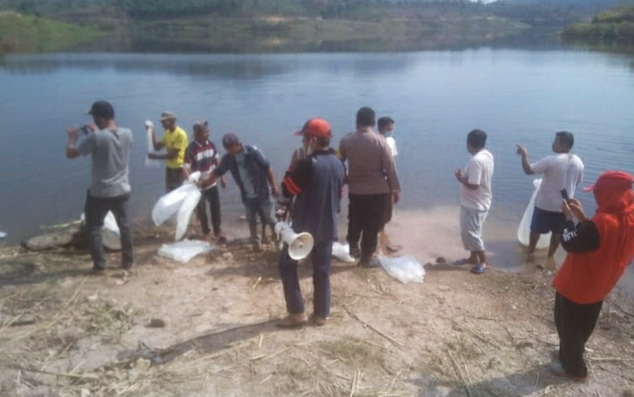 Tebar Bibit Ikan di Genangan Bendungan Way Sekampung