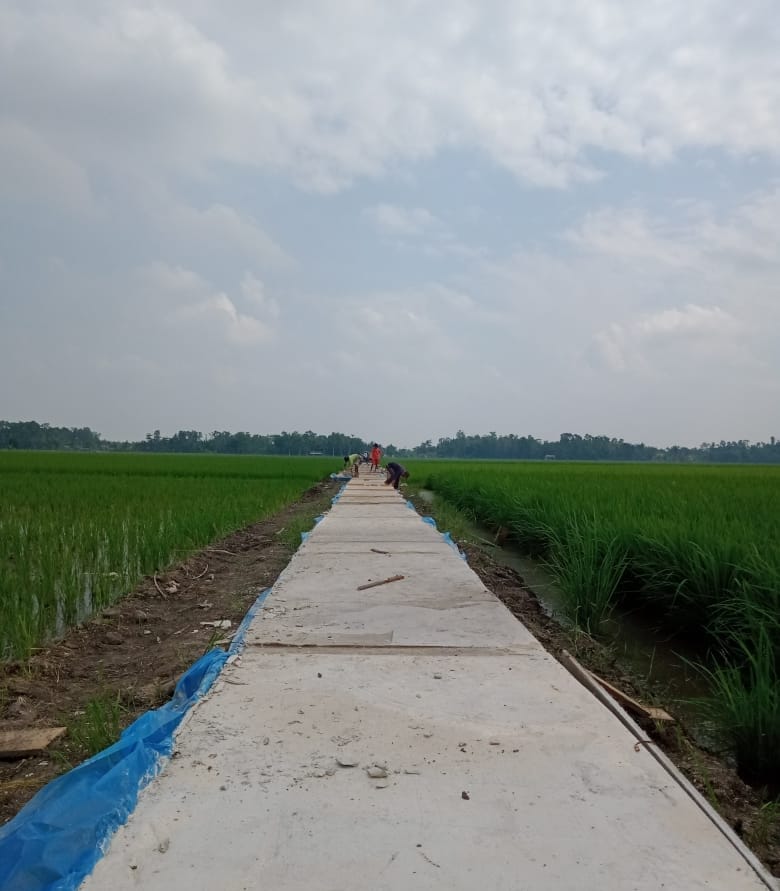 Pembangunan Jalan Pertanian Dapat Tingkatkan Perekonomian Petani