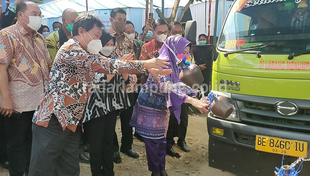 Pisang Mas Tanggamus Rambah Pasar Ekspor Singapura