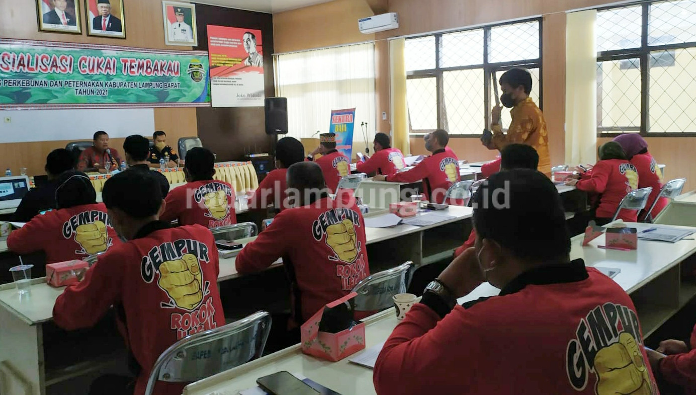 DBH Cukai Hasil Tembakau Diprioritaskan untuk Bidang Kesehatan