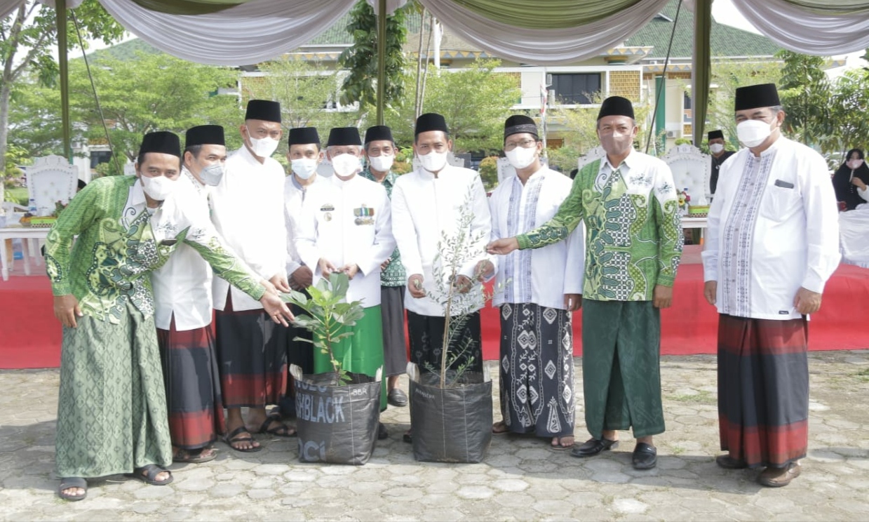 Bupati Sujadi Serahkan Bibit Tanaman Tin dan Zaitun