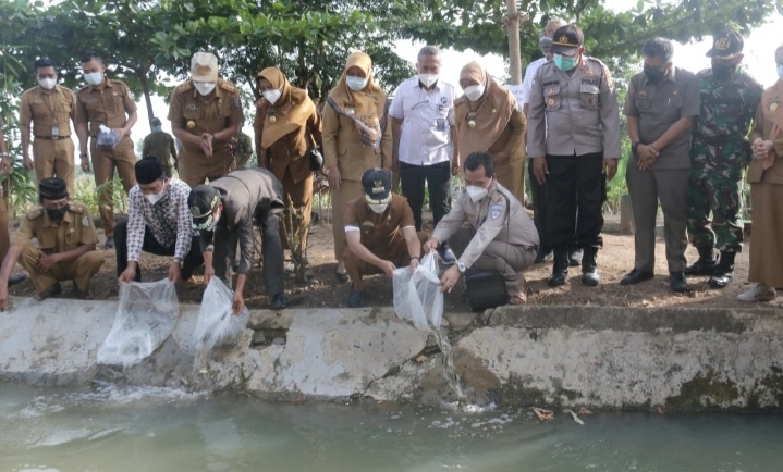 Dongkrak Produktivitas dan Pemasaran Melalui Program Gerbang Ikan Desa