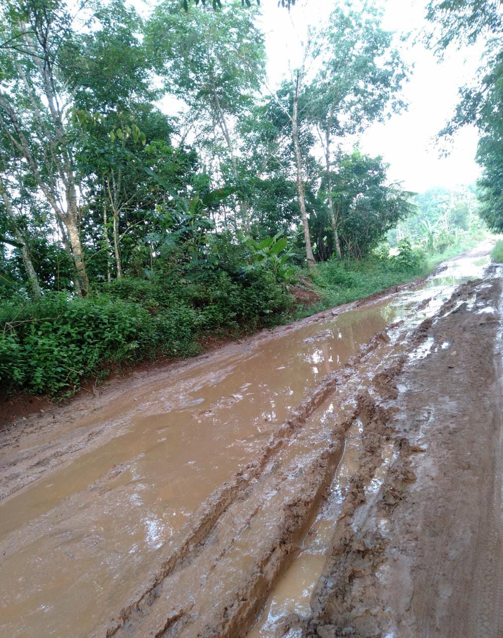 Penampakan Jalan Rusak di Way Kanan, Bikin Siswa Malu Sekolah