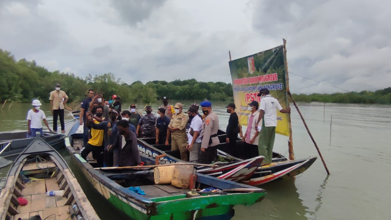 Cegah Abrasi, 501.683 Bibit Mangrove Ditanam di Sungai Burung