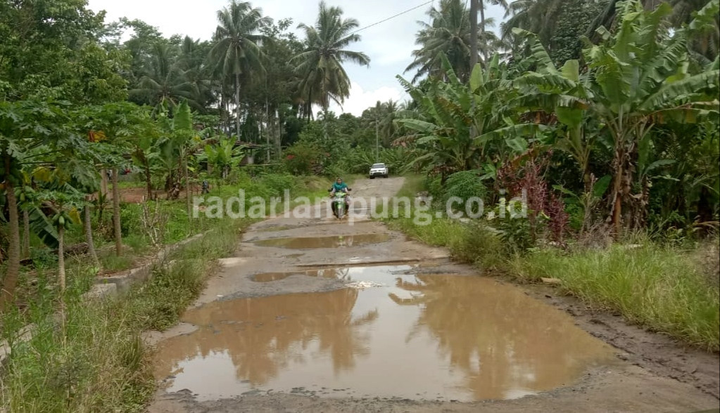 Lapor! Jalan Kabupaten di Sukanegeri Rusak