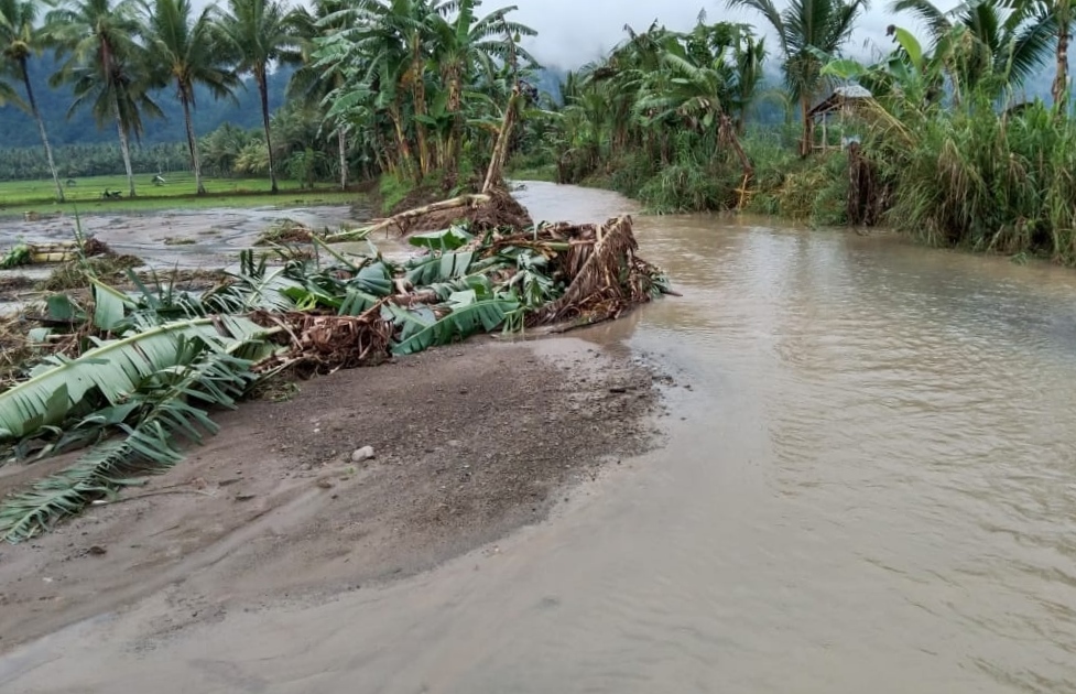 Tanggul Way Batang Ireng Jebol, Sawah Tertimbun Sirtu