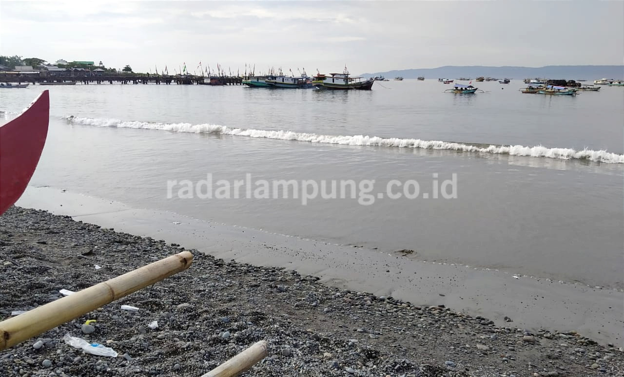 Harapkan BKSDA Turun ke Lokasi Munculnya Buaya