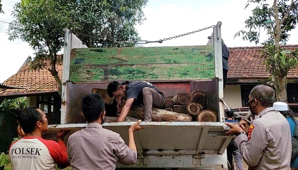 Periksa Truk Terbalik, Ada Puluhan Kayu Sonokeling, Diduga Hasil Pembalakan Liar