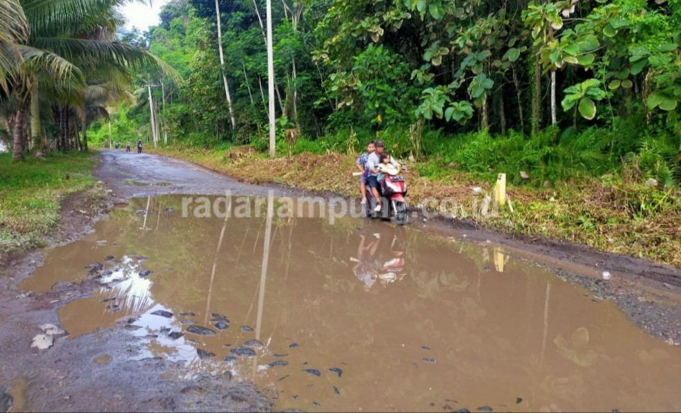 Lapor! Jalan Sukabanjar-Ketapang Rusak Parah