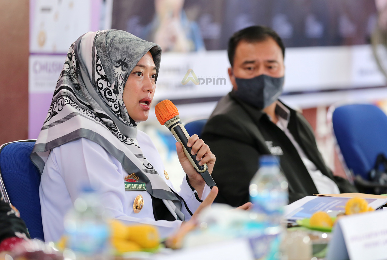 Diskusi Publik SMSI Lampung Tahun 2022, Wagub Chusnunia Ajak Media Siber Bangun Optimisme Ekonomi Lampung