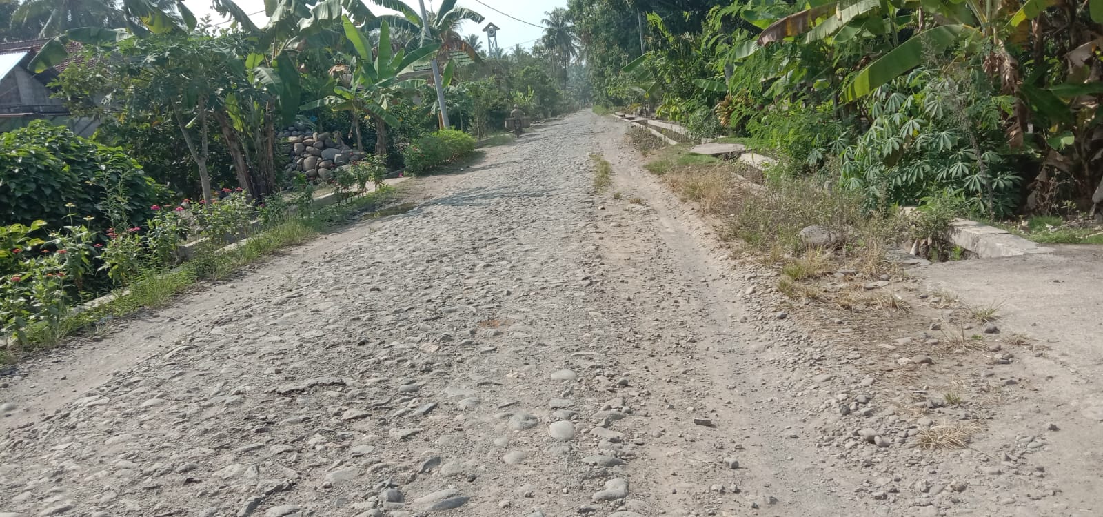 Dear Pemkab Tanggamus, Ini Ada Aspirasi Warga Soal Kondisi Jalan Rusak